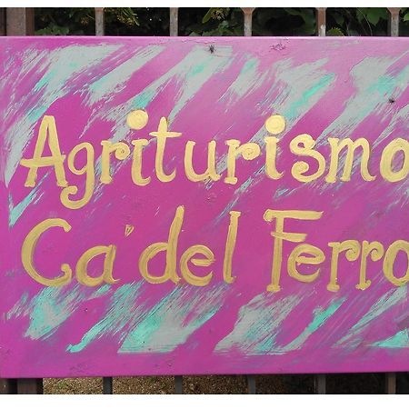 Agriturismo Ca' Del Ferro Zevio Екстер'єр фото