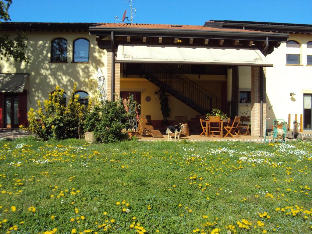 Agriturismo Ca' Del Ferro Zevio Екстер'єр фото