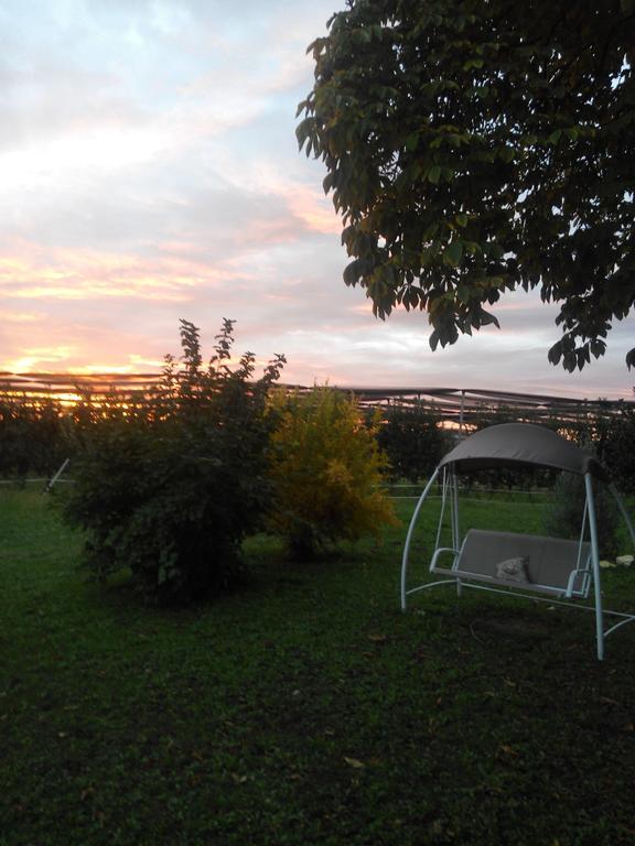 Agriturismo Ca' Del Ferro Zevio Екстер'єр фото