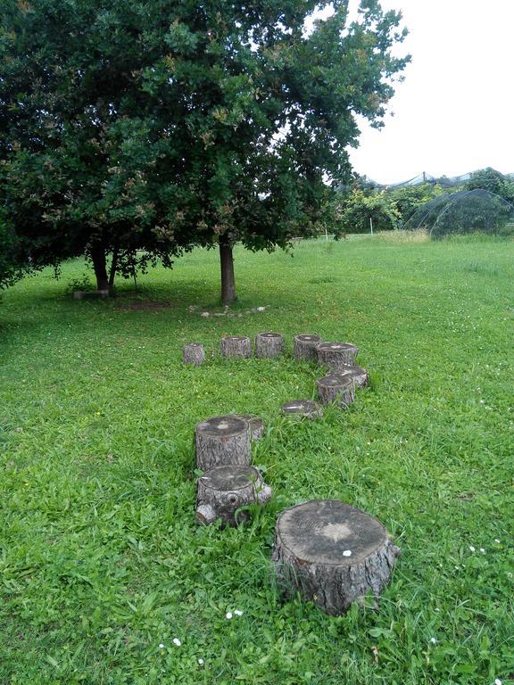 Agriturismo Ca' Del Ferro Zevio Екстер'єр фото