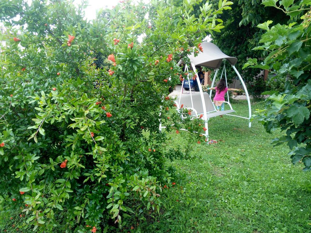 Agriturismo Ca' Del Ferro Zevio Екстер'єр фото